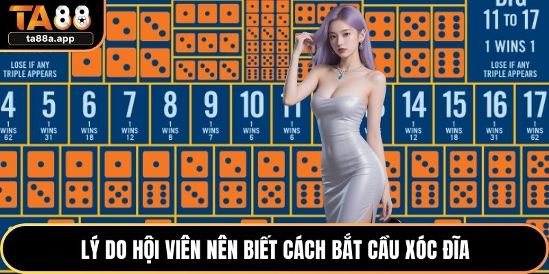 Lý do hội viên nên biết cách bắt cầu xóc đĩa