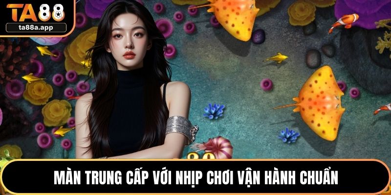Màn trung cấp với nhịp chơi vận hành chuẩn